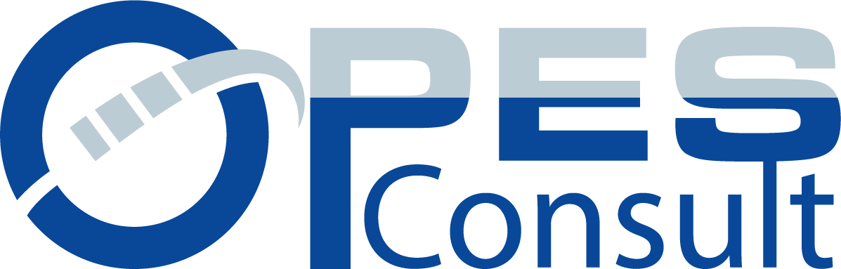 Opes Consult